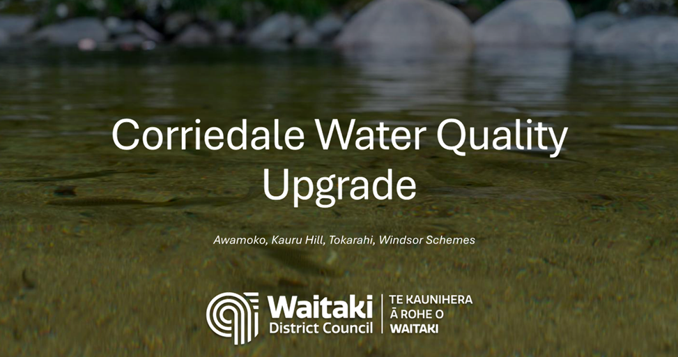 A close-up of water

AI-generated content may be incorrect.